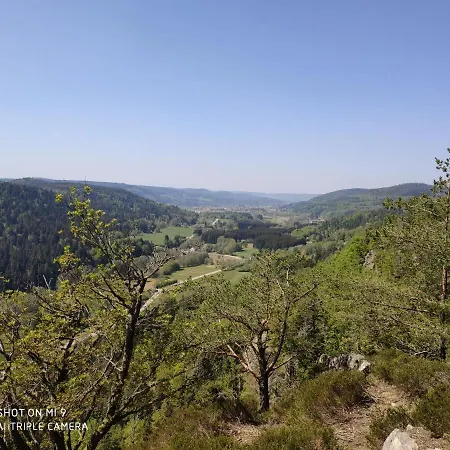 Le Grand Tetra * Barbey-Seroux
